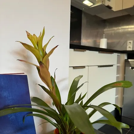Comfortable 2 Steps From Paris * בואה-קולומב